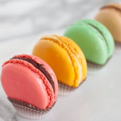 Macaron Quartet