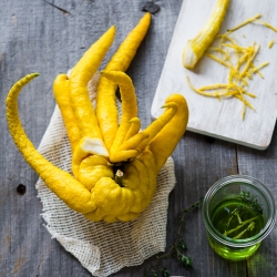 Buddhas Hand Vinaigrette