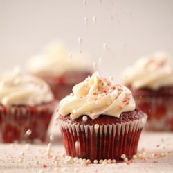 Red Velvet Cupcakes