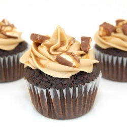 Snickers Cupcakes