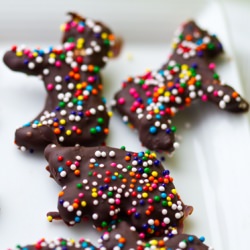 Chocolate Animal Cookies