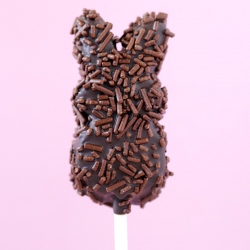 Chocolate Covered Peep Pops