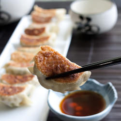 Gyoza – Japanese Dumplings