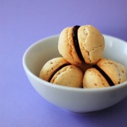 Hazelnut Macarons w/ Choco Ganache