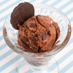 Chocolate Trinity Ice Cream