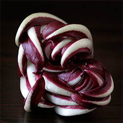 Radicchio Tardivo