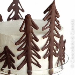 Chocolate Raspberry Forest Cake