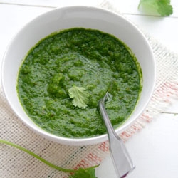 Mint Coriander Chutney