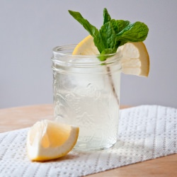 Refreshing Lemon Sparkler