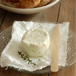 Homemade Cheese