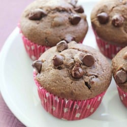 Chocolate Chip Muffins