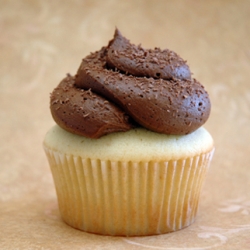 Vanilla Cupcakes w/ Choc Frosting