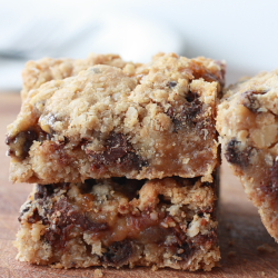 Chocolate Chip Caramel Oat Squares