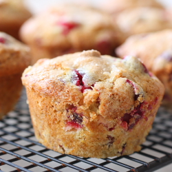 Citrusy Cranberry Orange Muffins