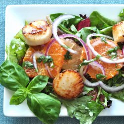 Citrus Salad w/ Scallops & Herbs