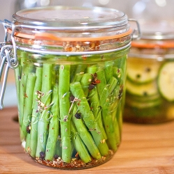 Spicy Garlic Green Bean Pickles