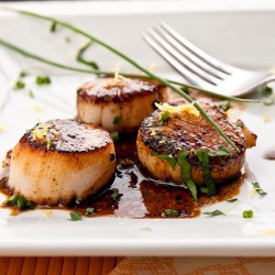 Caramelized Scallops