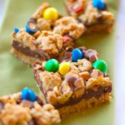 Candy Fudge Bars