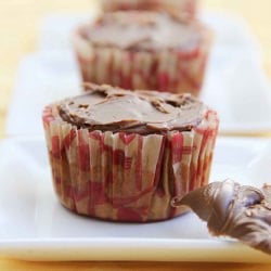 Chocolate Hazelnut Cupcakes