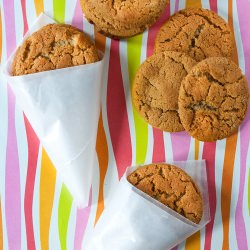 Cornish Fairings