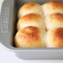 Honey Bread Rolls