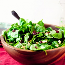 Cranberry Spinach Salad