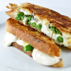 Fresh Mozzarella Grilled Cheese