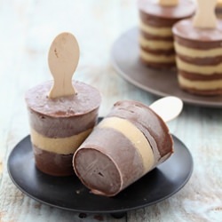 Chocolate & Caramel Pudding Pops