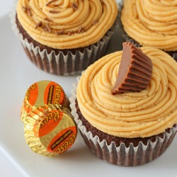 Chocolate & Peanut Butter Cupcakes