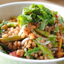 Citrus Wheatberry Salad