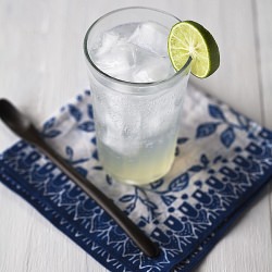 Fresh Lime Fizz