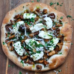 Wild Mushroom + Crescenza Pizza