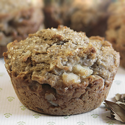 Lemon Myrtle Macadamia Muffins