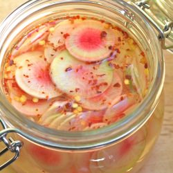 Pickled Watermelon Radishes