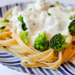 Broccoli Fettuccini Alfredo