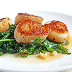 Pan-seared Scallops with White Wine