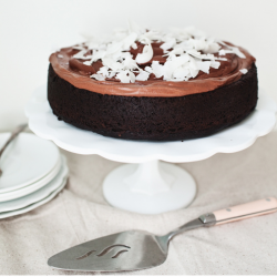 Chocolate and Coconut Milk Cake