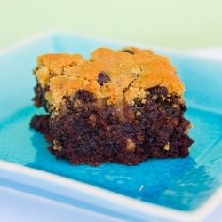 Chocolate Chip Praline Brookies