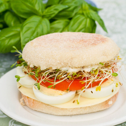 Egg Salad Sandwich