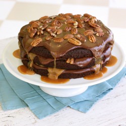 Turtle Cake