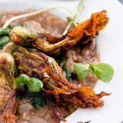 Pan Fried Chevre Stuffed Blossoms