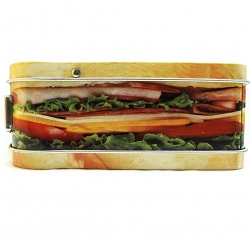 Sandwich Lunchbox