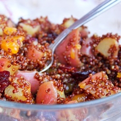 Apple Cranberry Cinnamon Red Quinoa