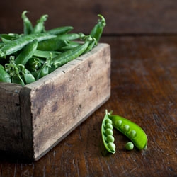 Pasta With Green Peas