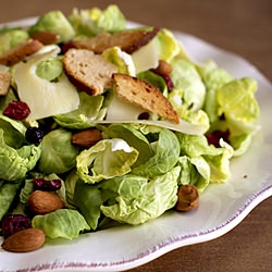 Brussels Sprout Salad