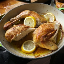 Flat Roasted Chicken