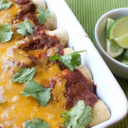 Vegetable Enchiladas