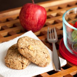 Delicious Apple Bars