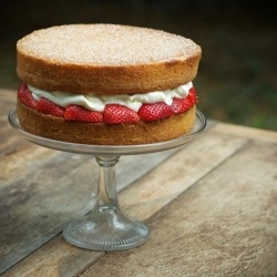 Victoria Sponge