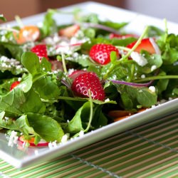 Farmers Market Salad